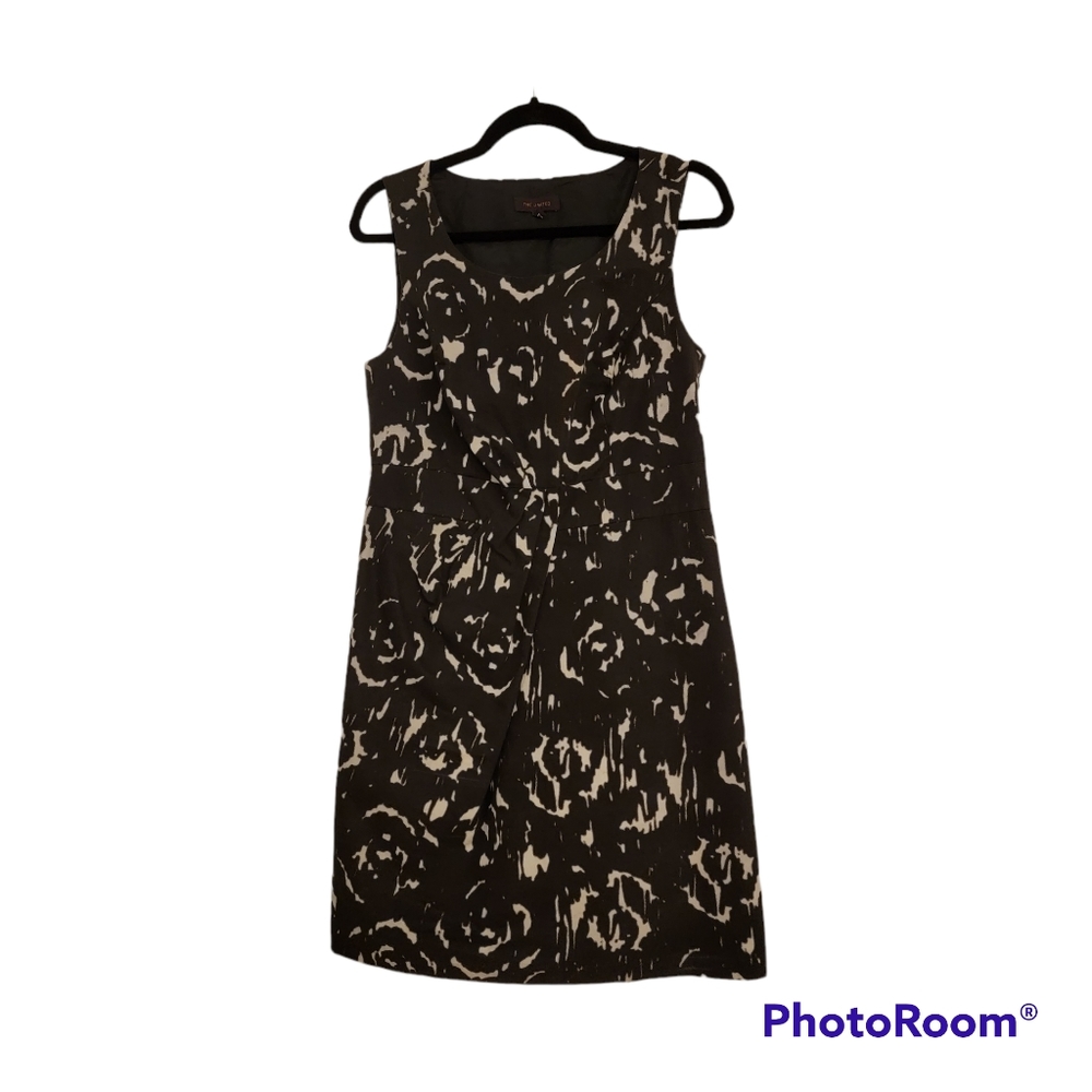 Limited Dress (above the knee)